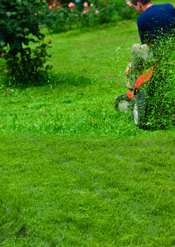 Lawn Care Services